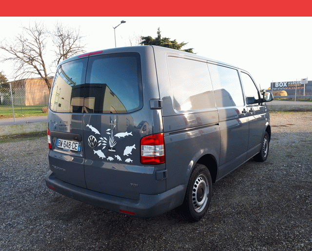 Volkswagen VOLKSWAGEN TRANSPORTER T6 2.0 TDI 84 FAP2.6T LINER